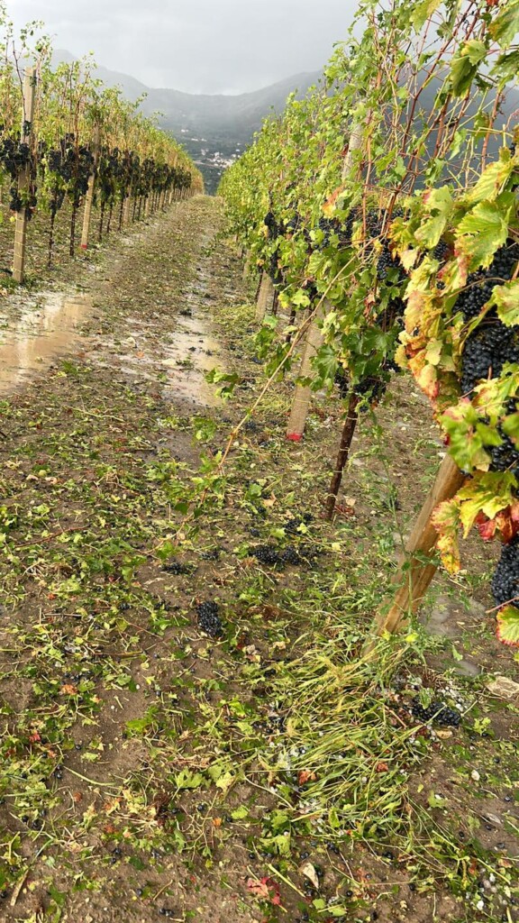 maltempo campania benevento