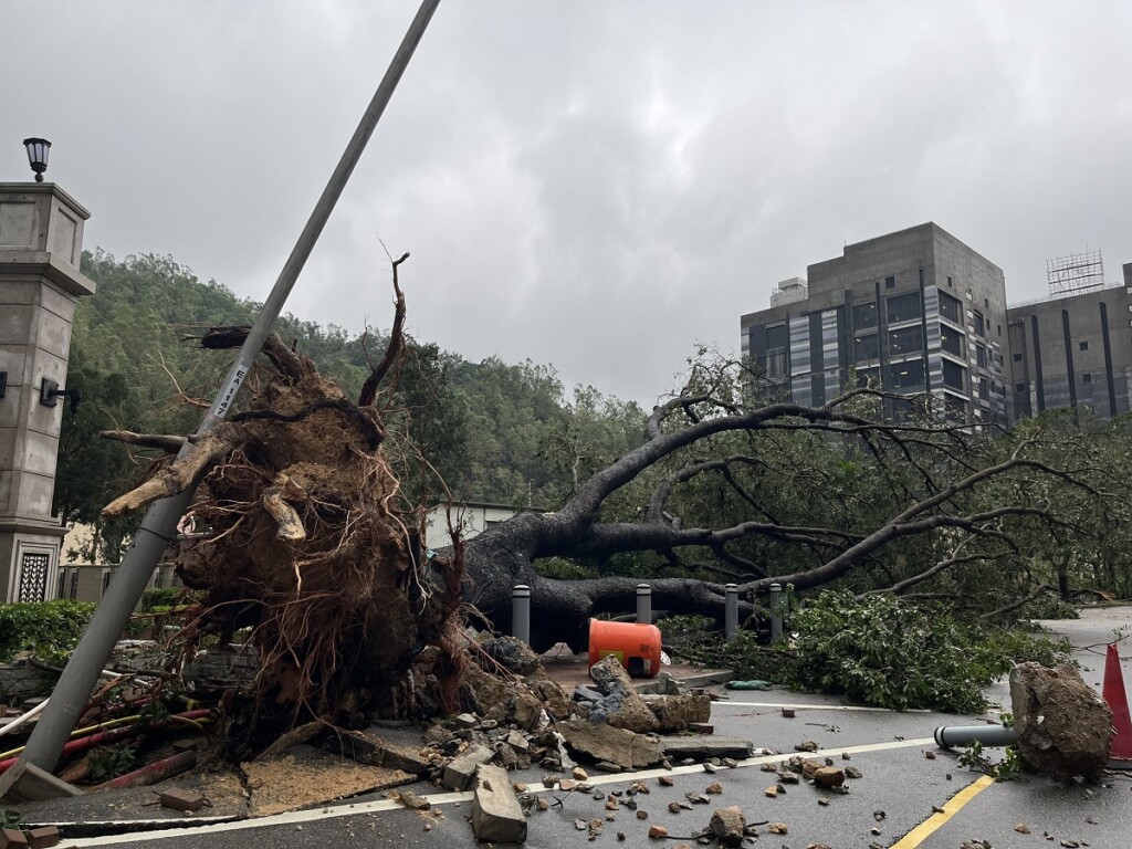 tifone saola cina hong kong