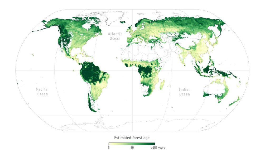 età foreste biomassa esa