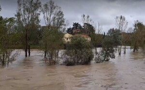 fiume isonzo