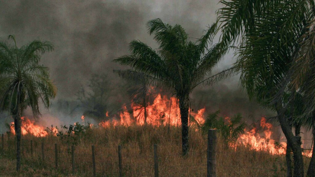 incendi bolivia