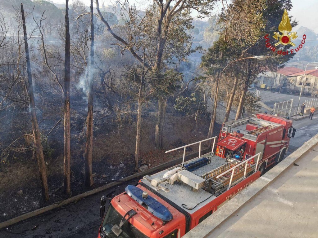 incendi sicilia