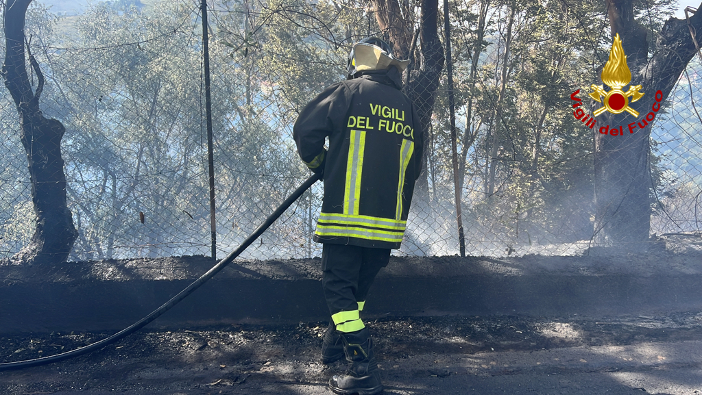 incendi sicilia