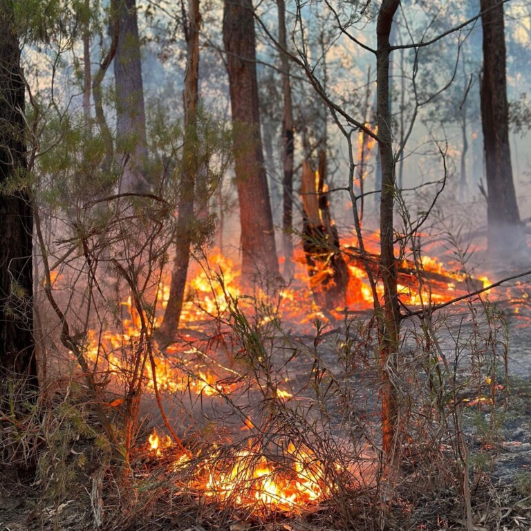 incendi victoria australia