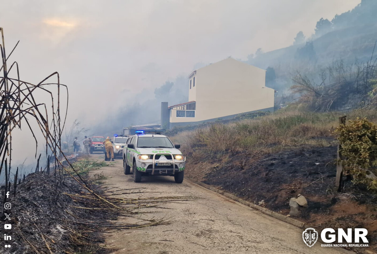 incendio madeira