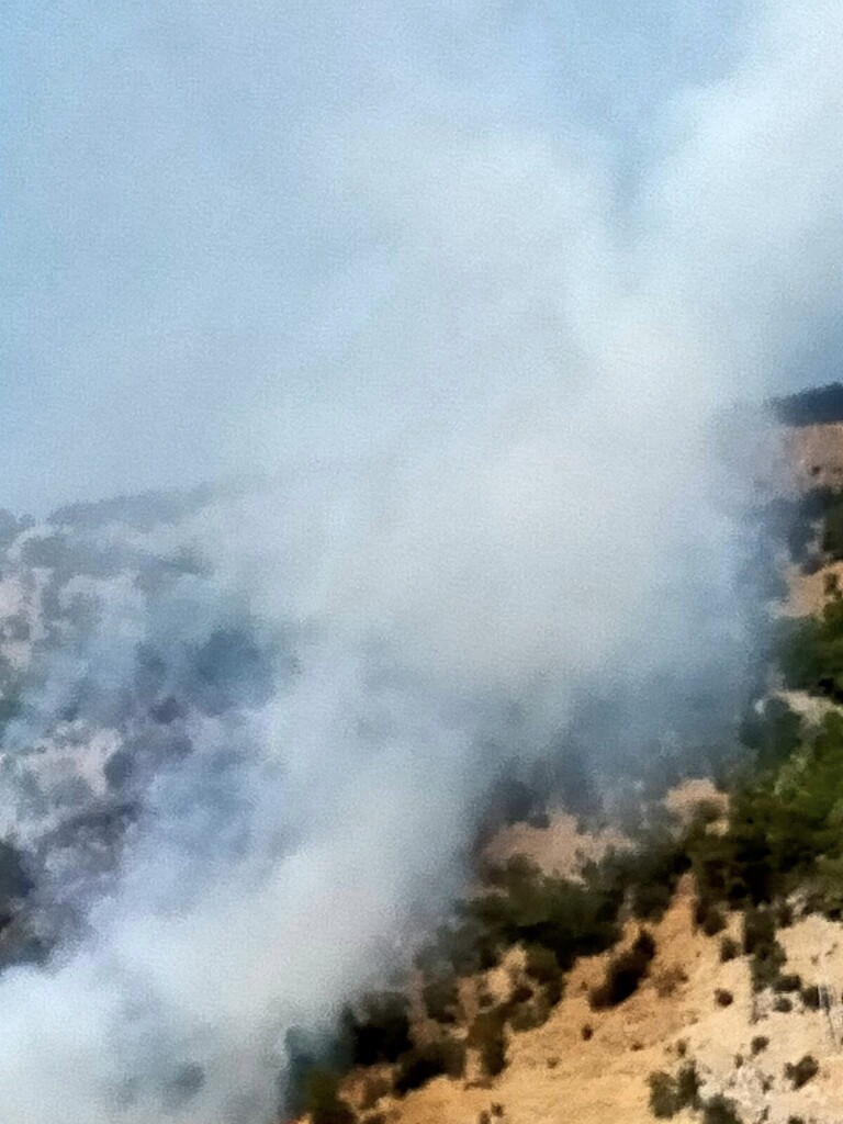 incendio monte pellegrino