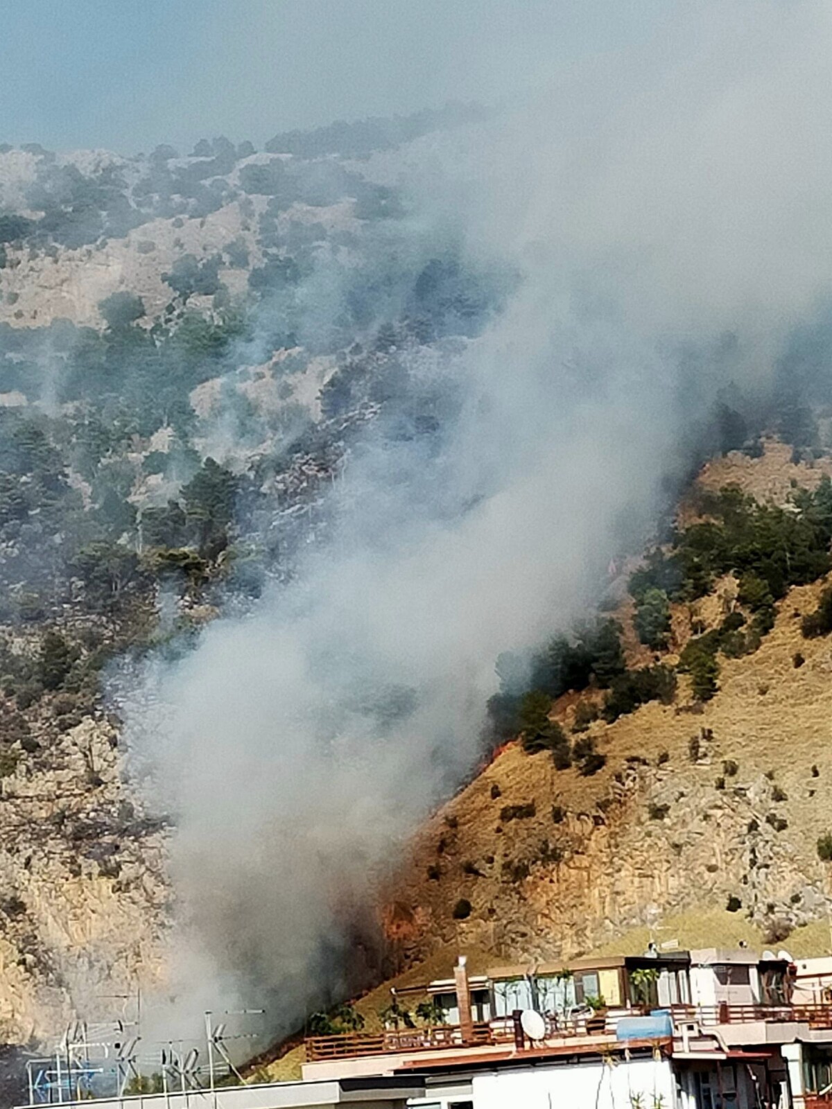 incendio monte pellegrino