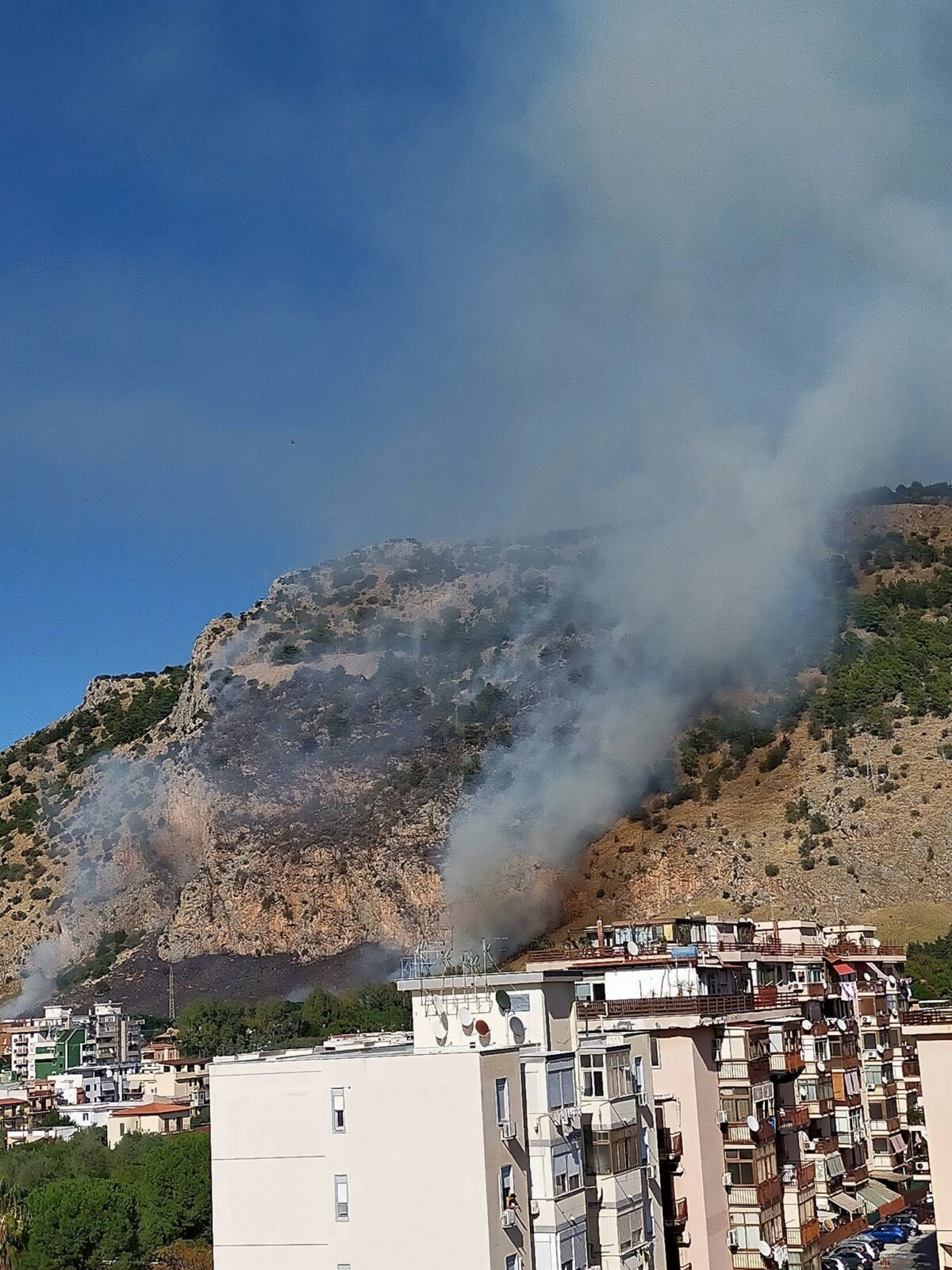 incendio monte pellegrino