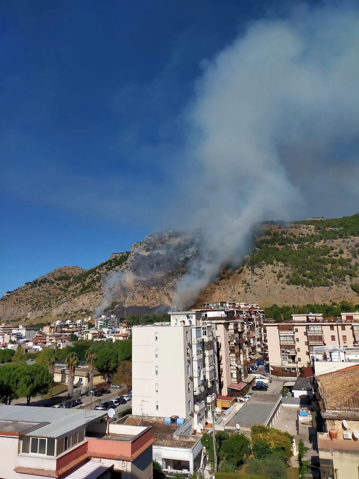 incendio monte pellegrino