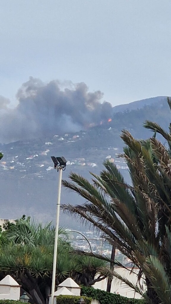 incendio tenerife