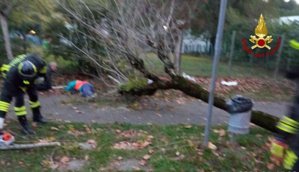 Albero caduto nel bolognese due feriti