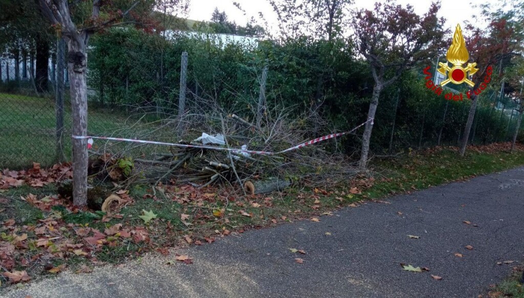 Albero caduto nel bolognese due feriti