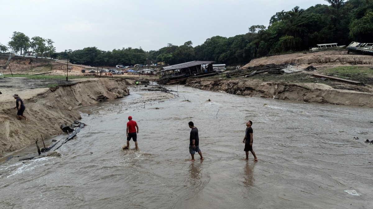 siccità amazonas brasile