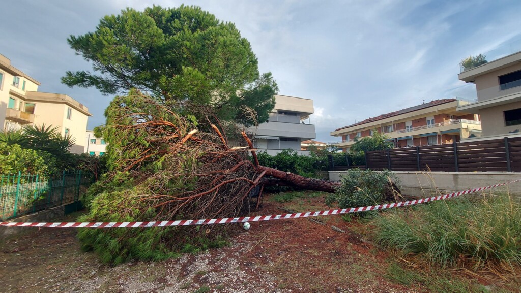 tornado livorno antignano