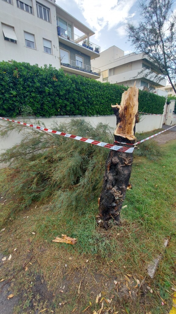 tornado livorno antignano