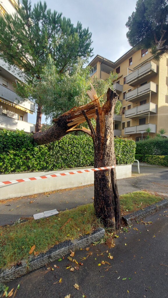 tornado livorno antignano