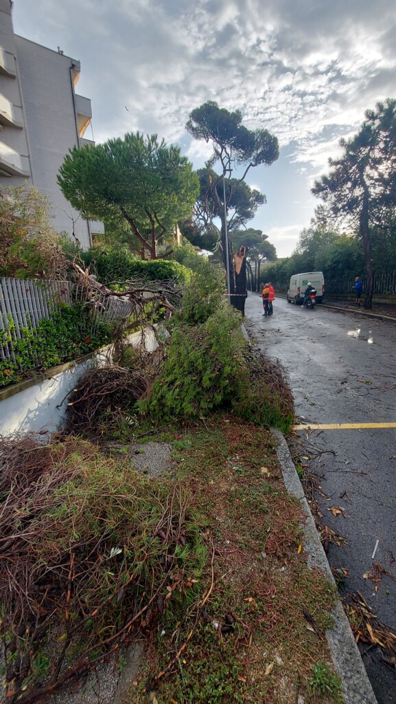 tornado livorno antignano