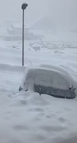 oggi neve alpi