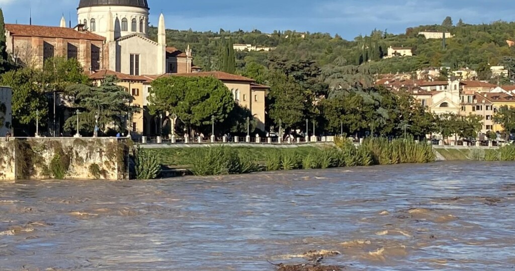 adige verona