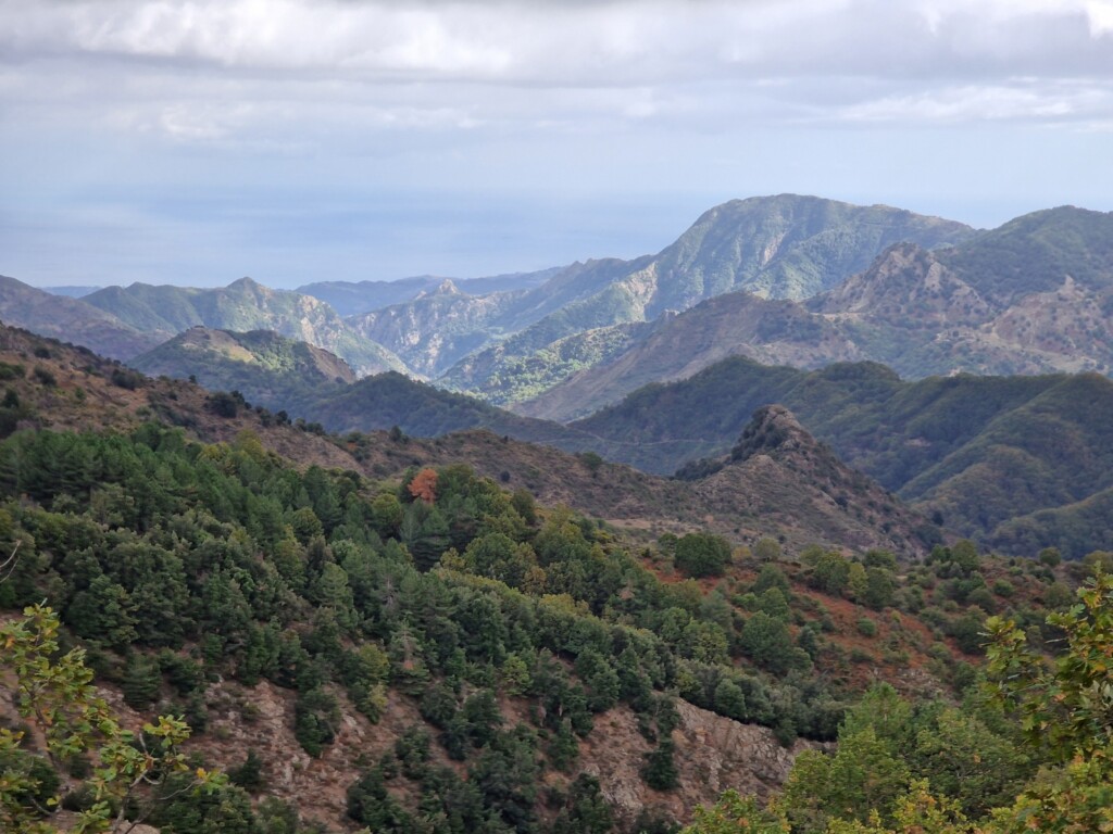 aspromonte montagna