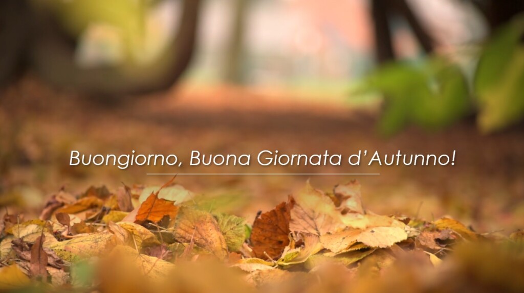 buongiorno autunnale buon giorno