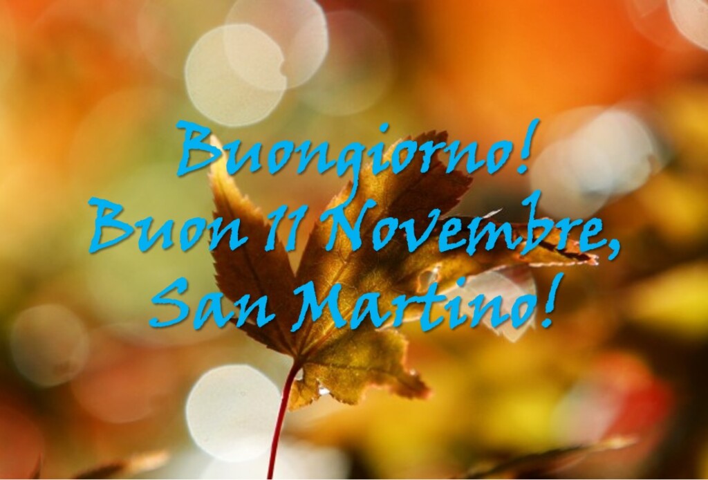 buongiorno buon san martino 11 novembre