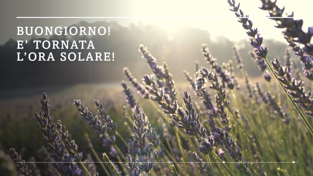 buongiorno ora solare