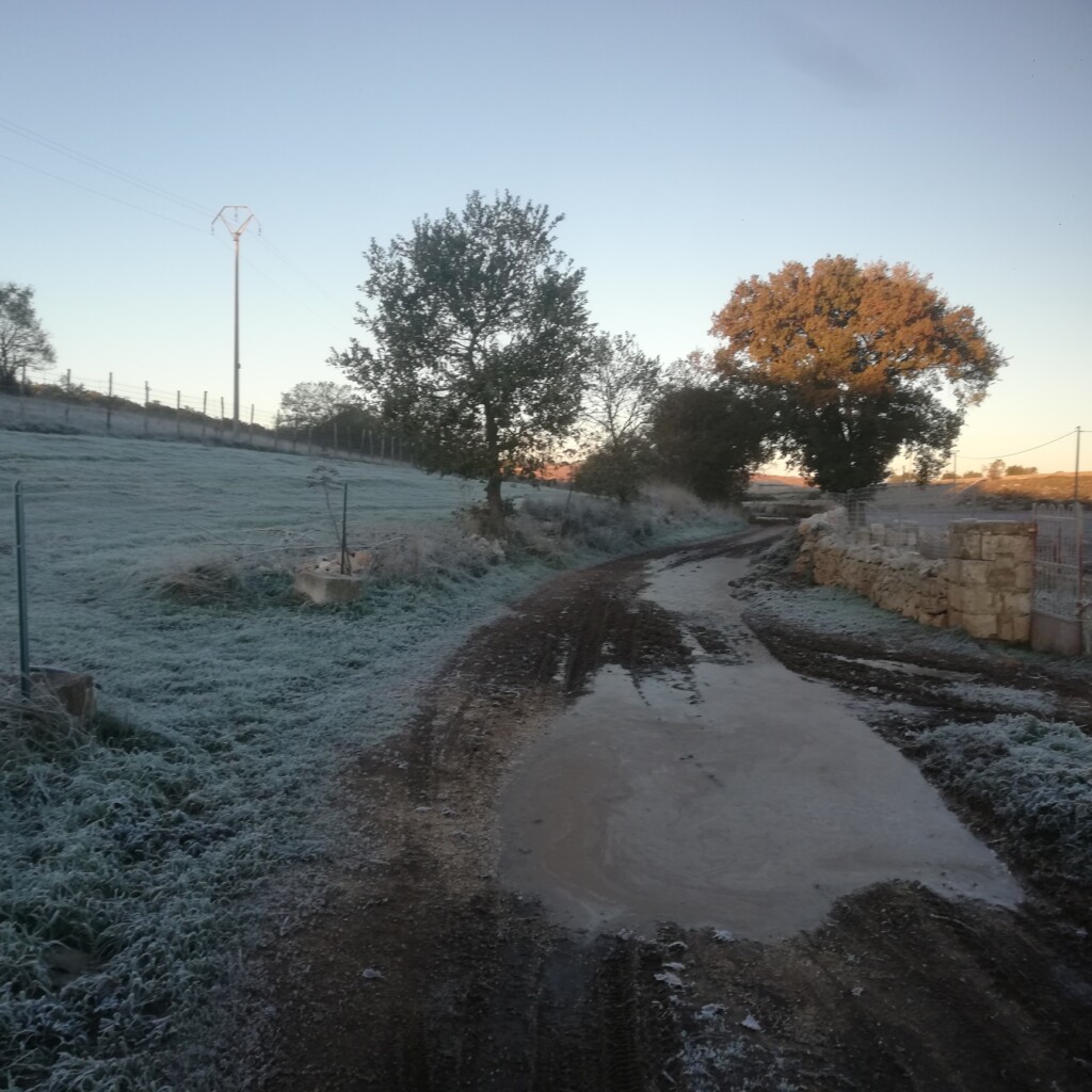 gelata santeramo in colle