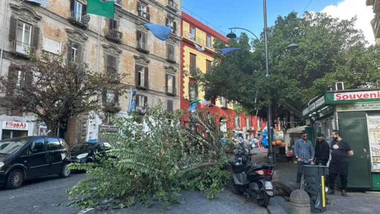 maltempo albero caduto napoli