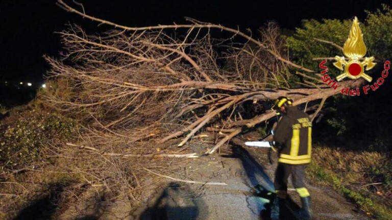 maltempo albero caduto vigili fuoco