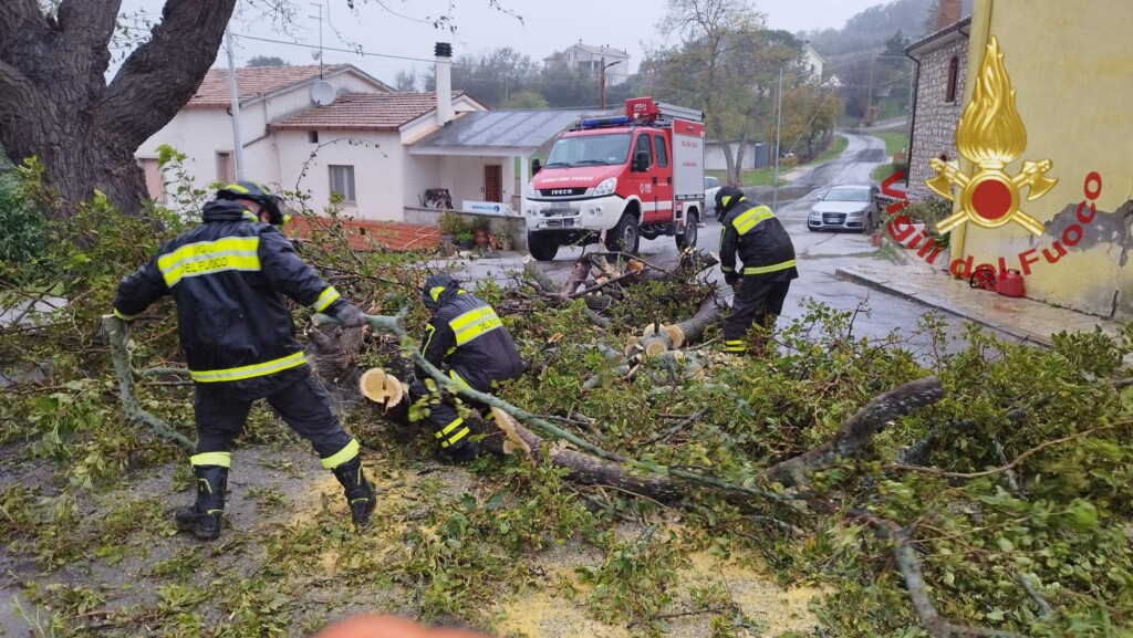 maltempo vigili fuoco albero