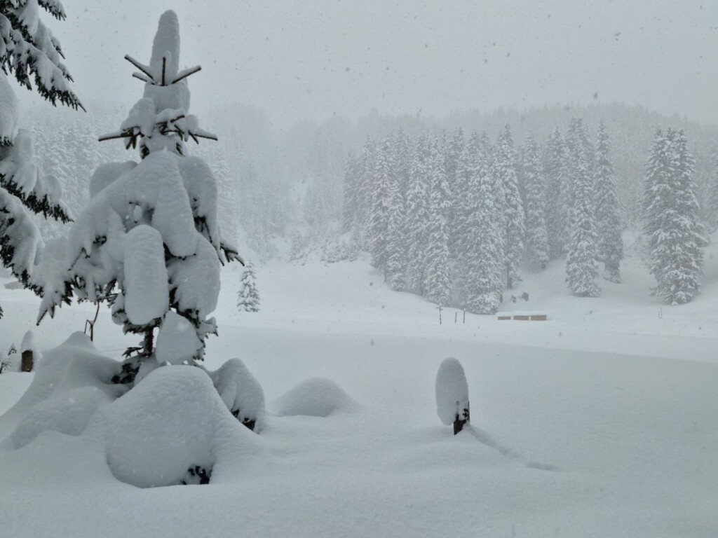 neve arlberg austria