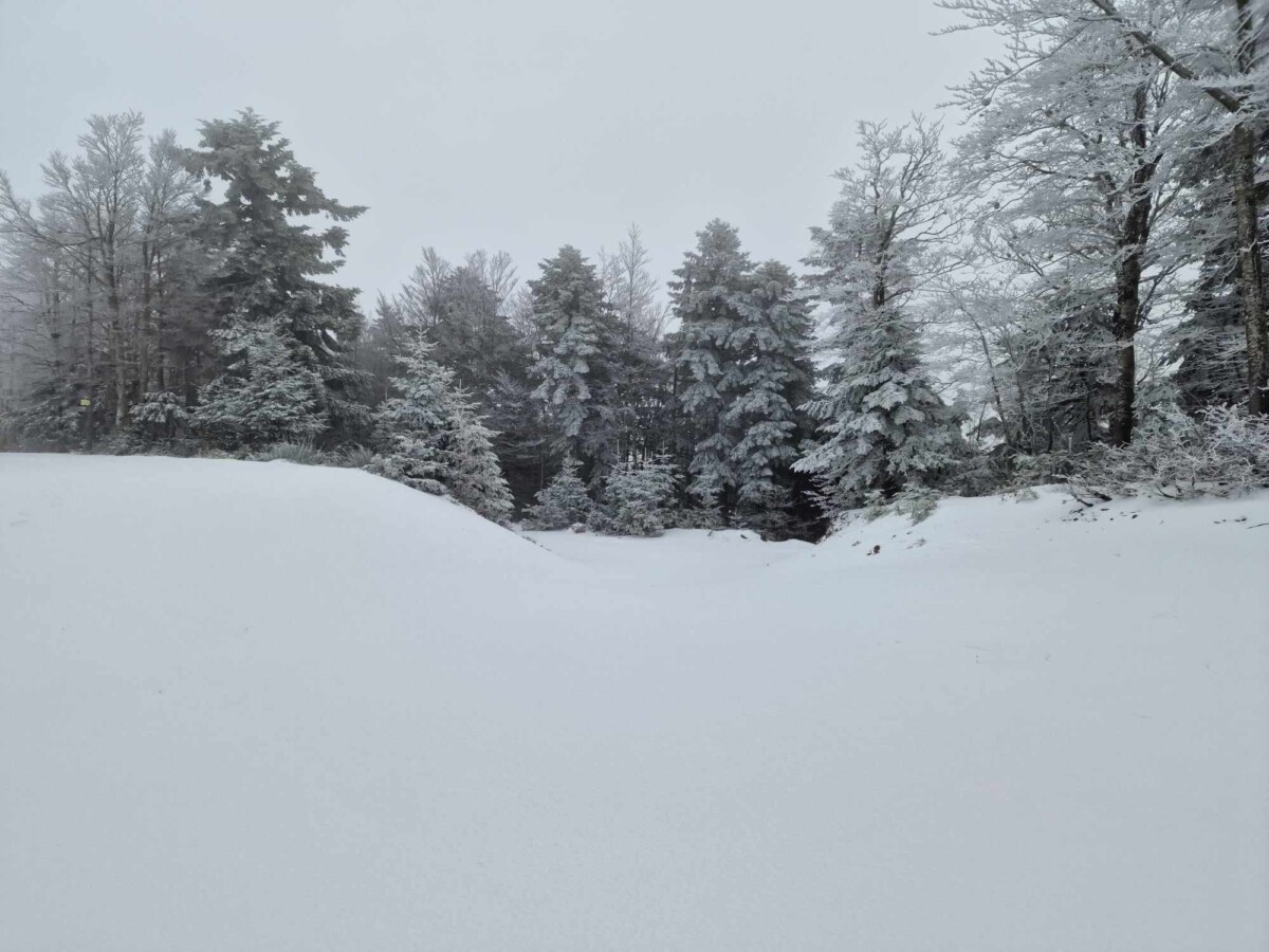 neve aspromonte