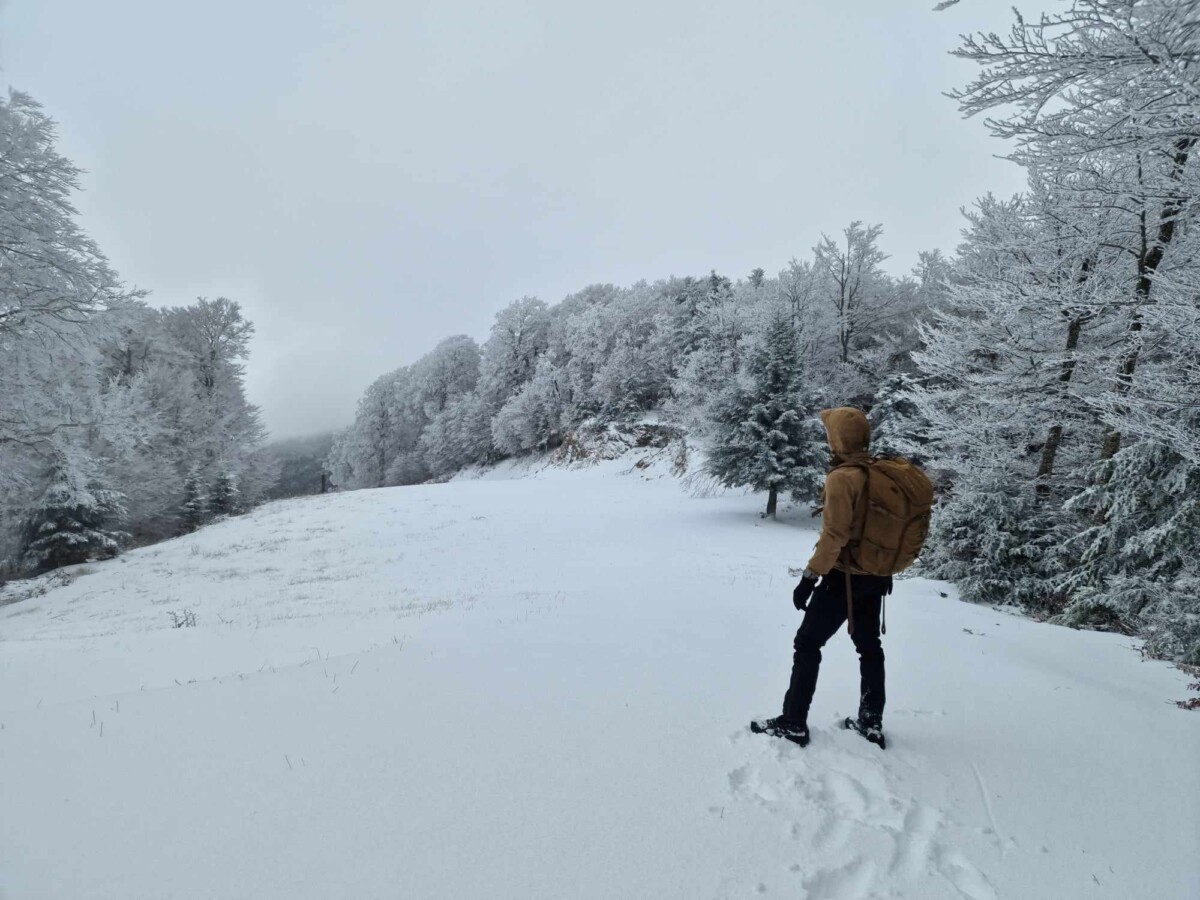 neve aspromonte