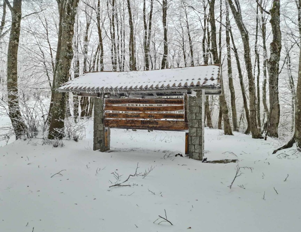 neve aspromonte