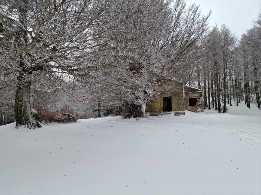 neve aspromonte