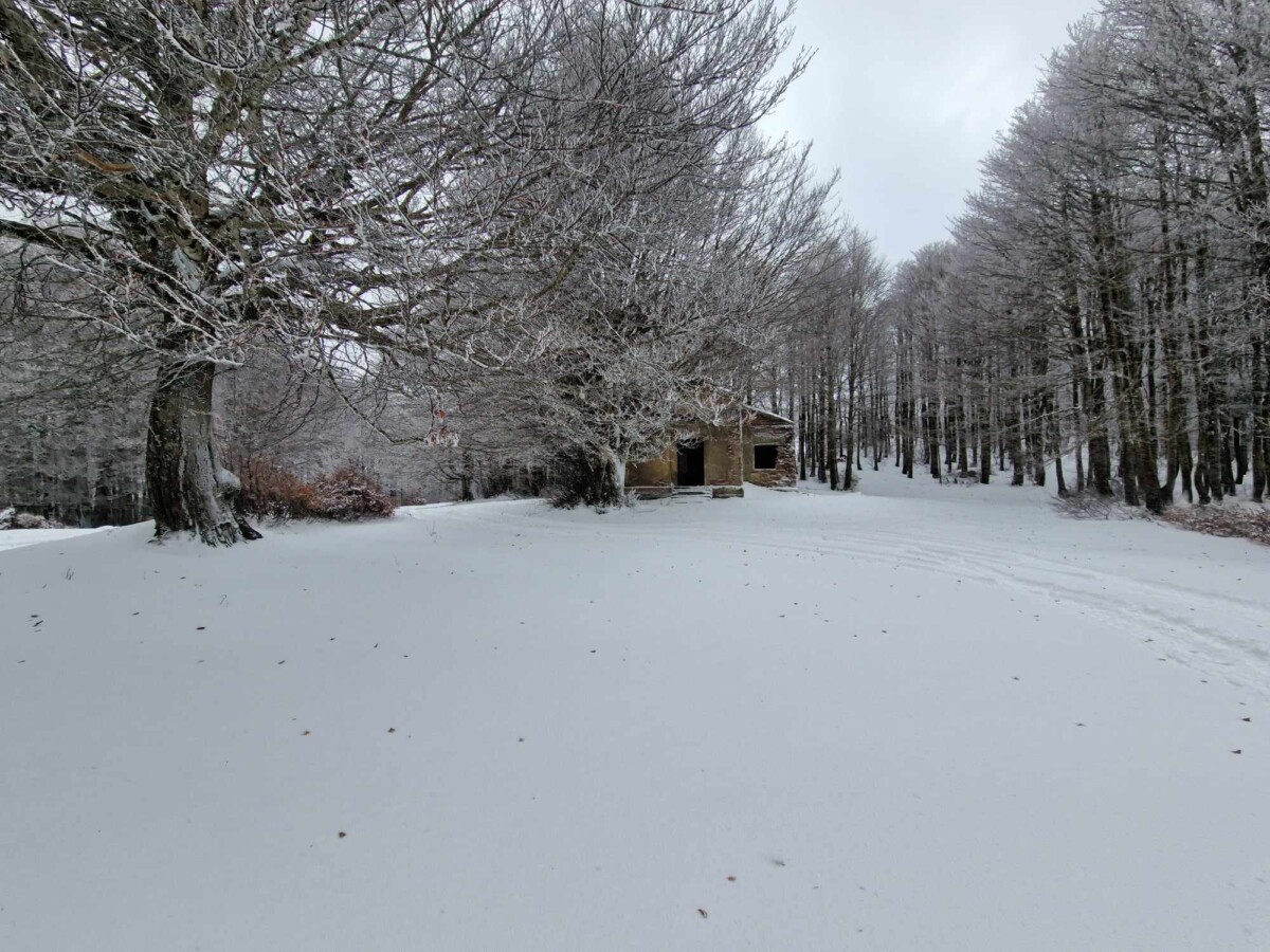 neve aspromonte