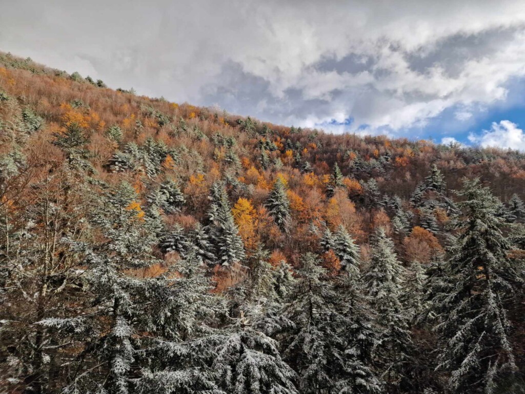 neve aspromonte