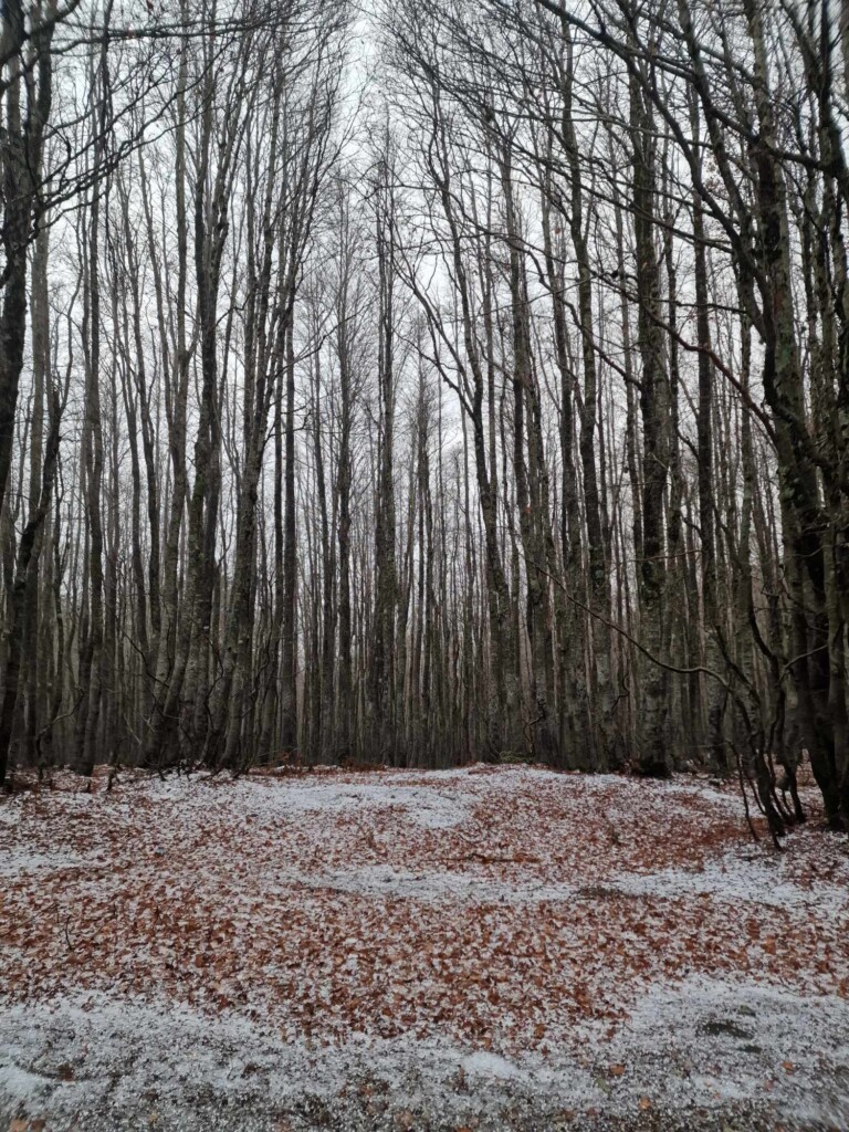 neve aspromonte 25 novembre