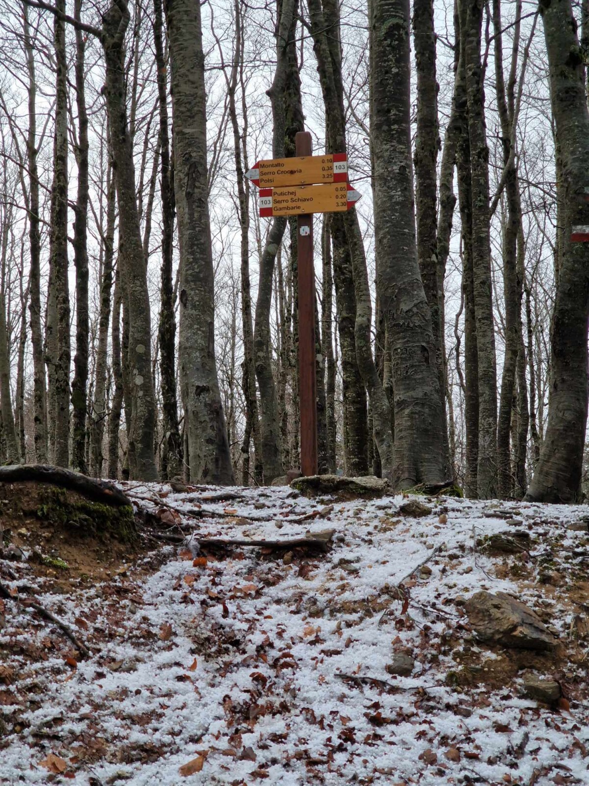 neve aspromonte 25 novembre