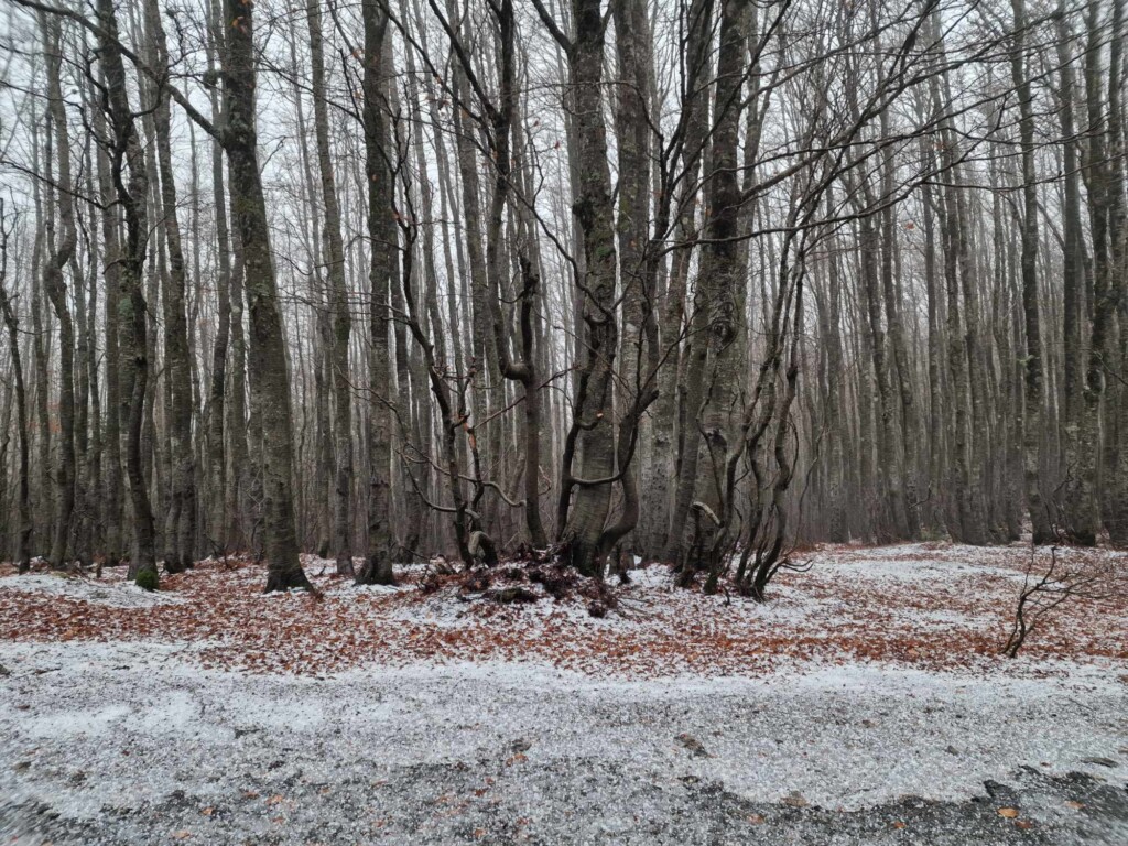 neve aspromonte 25 novembre