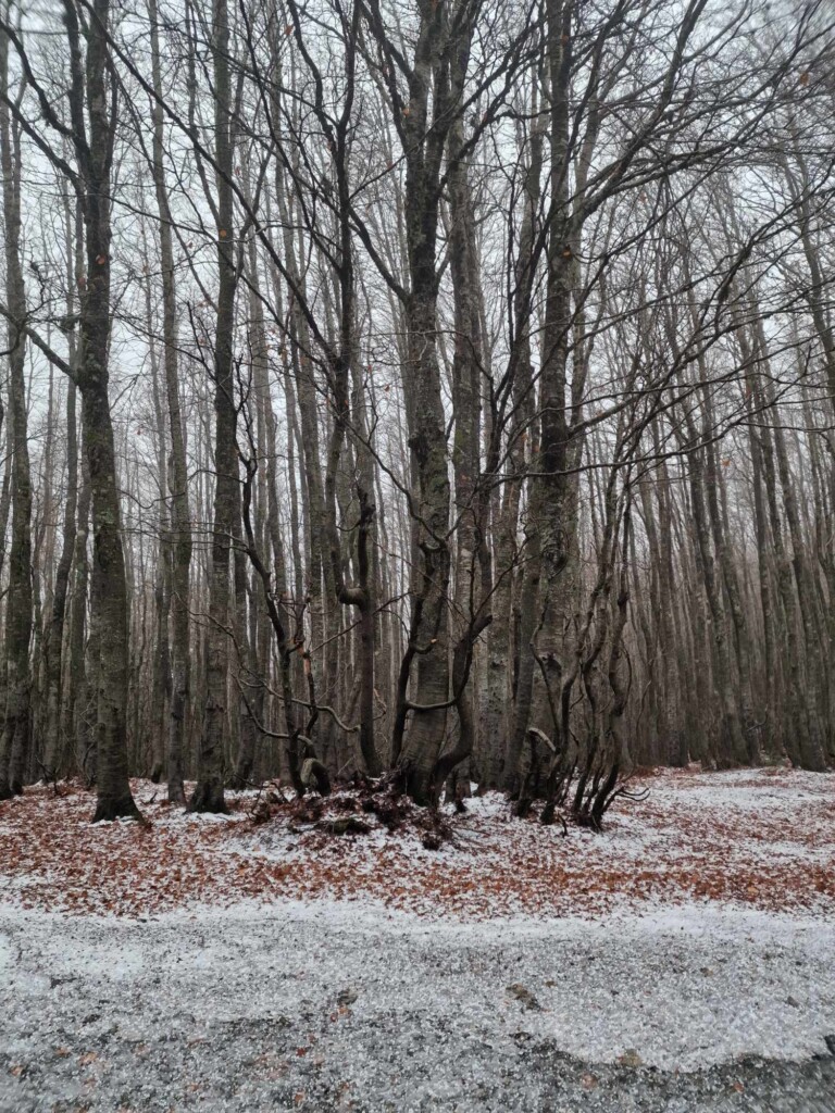 neve aspromonte 25 novembre