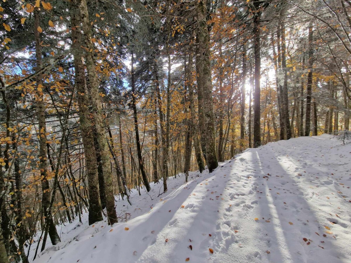 neve aspromonte