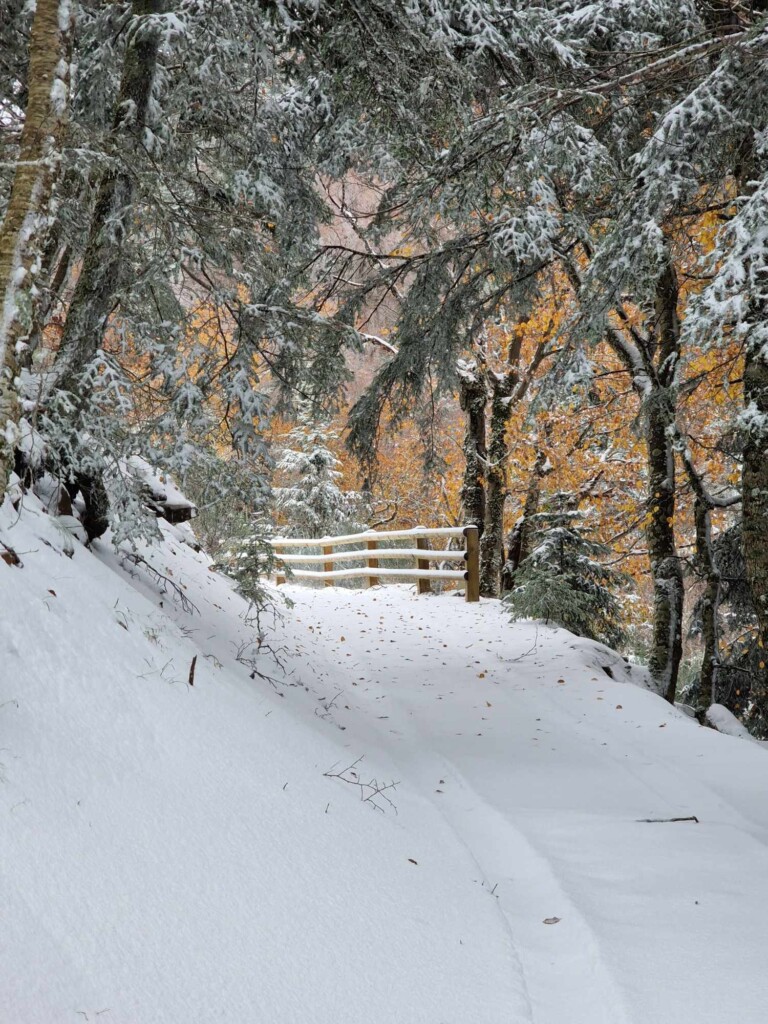 neve aspromonte