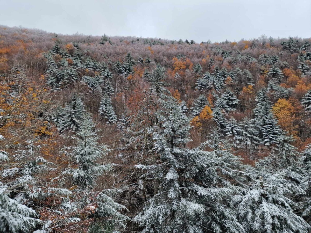 neve aspromonte