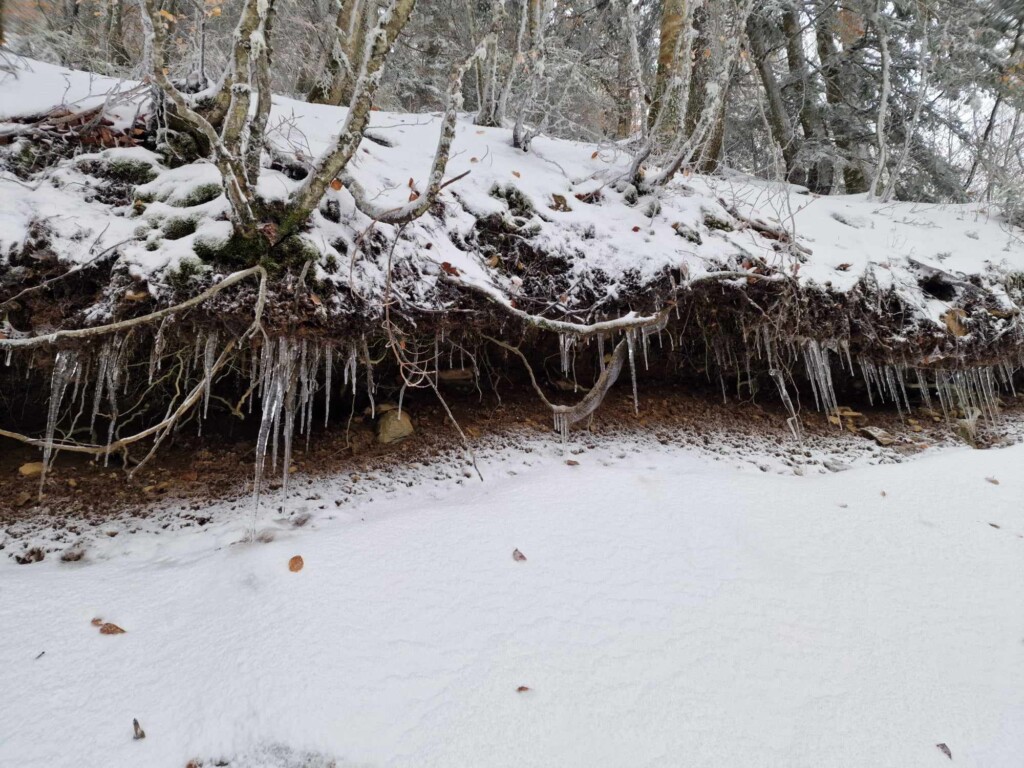 neve aspromonte