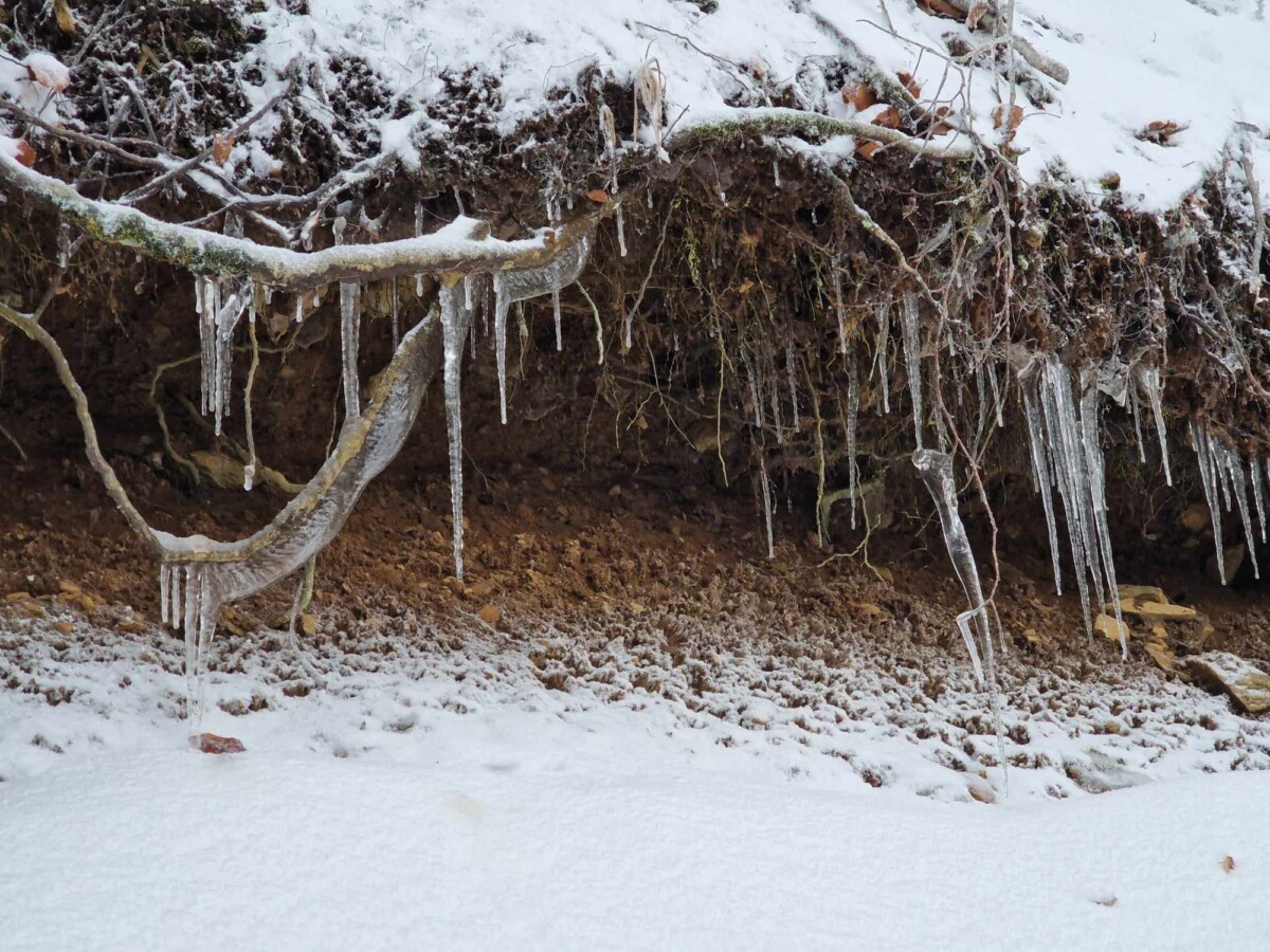 neve aspromonte