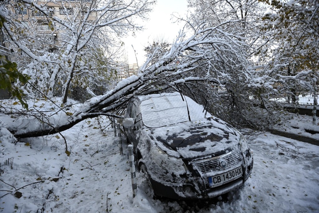 neve bulgaria