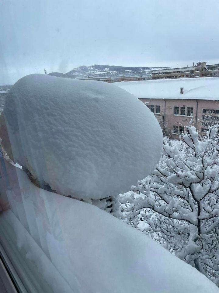 neve bulgaria