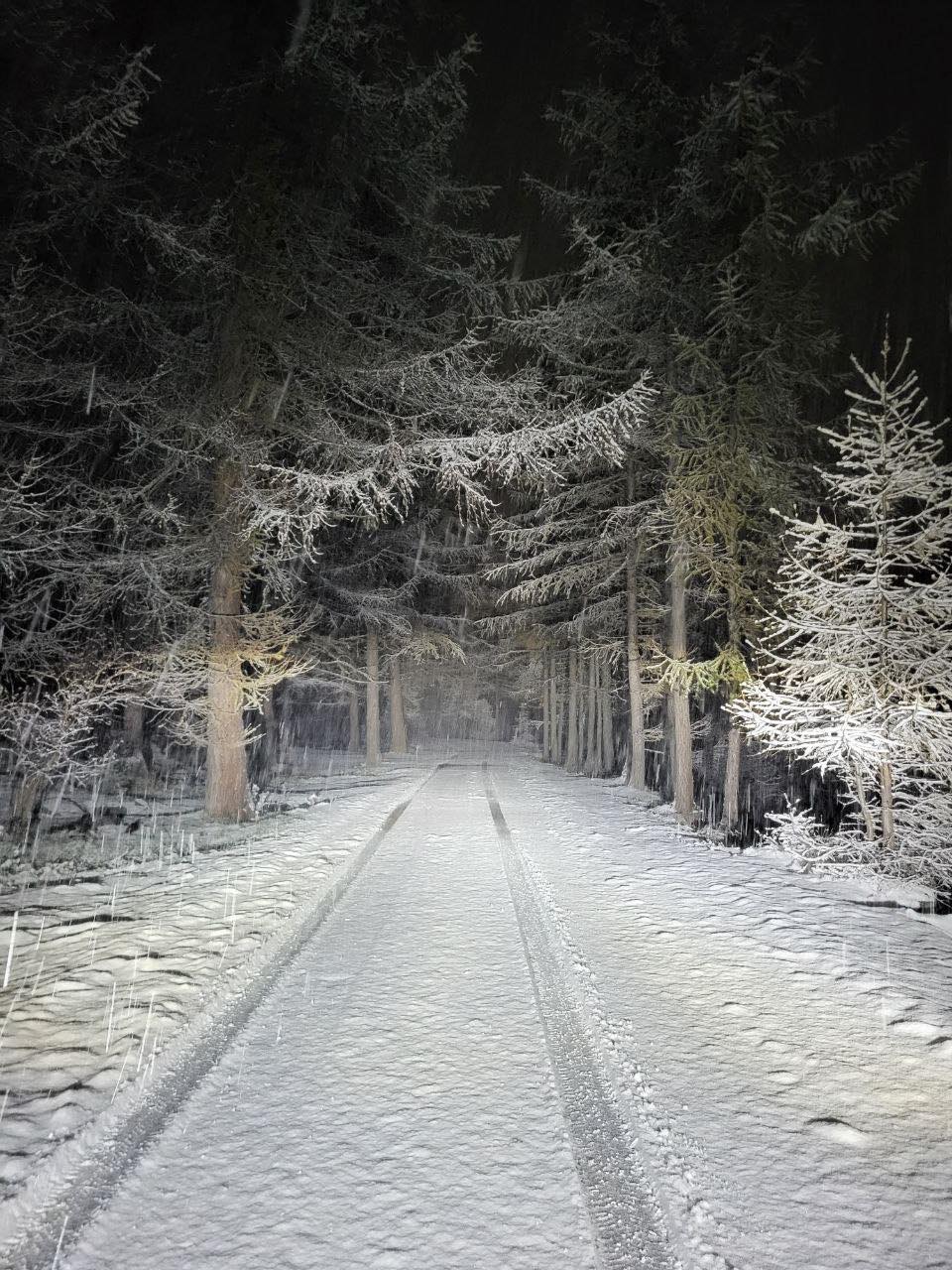 neve ceresole reale